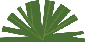 Grass tree illustration